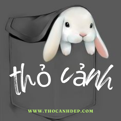 thocanhdep.com